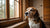 Is Ketchup Bad for Dogs? Understanding the Risks and Alternatives