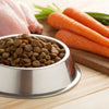 Is Kibble Enough for Dogs? Understanding the Nutritional Landscape of Dog Food