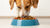 Is Kibble Good for My Dog? Understanding the Pros and Cons of Dog Food Choices