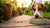 Is Kibble Hard for Dogs to Digest? Understanding Your Dog’s Nutritional Needs