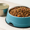 Is Kibble or Canned Food Better for Dogs? A Comprehensive Guide for Pet Owners