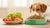 Is Kibble or Fresh Food Better for Dogs? A Comprehensive Guide to Dog Nutrition