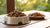 Is Kibble or Wet Food Better for Dogs? A Comprehensive Guide for Pet Owners