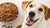Is Large Kibble Better for Dogs' Teeth? Exploring the Impact of Kibble Size on Canine Dental Health