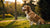 Is My Dog a Healthy Weight? Understanding Canine Body Condition and Weight Management