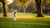 Is My Dog Getting Enough Exercise? Understanding Your Dog's Needs