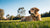 Is My Dog Losing Weight? Understanding the Causes, Symptoms, and Solutions
