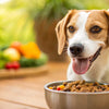 Is No Grain Dog Food Bad? Understanding the Impact of Grain-Free Diets on Your Dog's Health