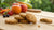 Is Oatmeal Cookies Good for Dogs? Exploring Pet-Safe Treats