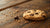 Is One Chocolate Chip Cookie Bad for Dogs?-141105365231
