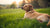 Is Puppy Food Good for Pregnant Dogs? Understanding the Nutritional Needs of Expecting Moms