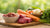 Is Raw Dog Food Best? Exploring the Pros and Cons of a Raw Diet for Your Pet