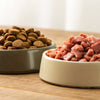 Is Raw Dog Food Better Than Dry: An In-Depth Exploration