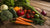 Is Raw Dog Food Dangerous to Humans? Understanding the Risks and Realities