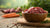 Is Raw Dog Food Hypoallergenic? Understanding the Benefits and Risks