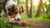 Is Raw Dog Food Really Better? A Comprehensive Guide to Canine Nutrition Choices