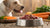 Is Raw Dog Food Safe? Understanding the Risks and Benefits