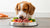 Is Raw Food Better for Dogs with Allergies? Exploring the Insights and Implications-141043335407