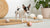 Is Raw Food Good for Dogs? A Comprehensive Guide for Responsible Pet Owners