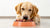Is Raw Food Good for Your Dog? Exploring the Benefits and Risks of Raw Diets