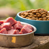 Is Raw Meat or Kibble Better for Dogs? A Comprehensive Guide