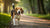 Is Sniffing Exercise for Dogs? Understanding the Benefits of Sniff Walks