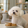 Is Soft Dog Food Good for Dogs? A Comprehensive Guide to Choosing the Right Diet