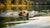 Is Swimming Good Exercise for Dogs? Exploring the Benefits and Best Practices