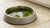 Is the Algae in the Dog's Water Bowl Toxic? Understanding the Risks and Remedies
