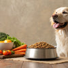 Is There a Problem with Grain-Free Dog Food? Understanding the Risks for Your Pup