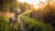 Is There a Weight Loss Pill for Dogs? Understanding Solutions for Canine Obesity