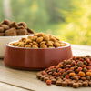 Is There Any Good Kibble for Dogs? A Comprehensive Guide to Choosing the Best Dog Food