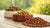 Is There Any Good Kibble for Dogs? A Comprehensive Guide to Choosing the Best Dog Food