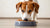 Is Turkey Dog Food Good for Dogs with Allergies? Discovering the Right Protein for Your Pup-141218152687