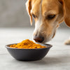 Is Turmeric Good for Dogs? Exploring the Benefits and Uses