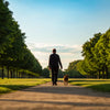 Is Walking a Dog Exercise? Exploring the Benefits for You and Your Furry Friend