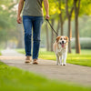 Is Walking My Dog Good Exercise? Unleashing the Benefits for You and Your Canine Companion