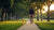 Is Walking Your Dog Exercise? Discover the Benefits of This Daily Ritual