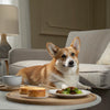 Is Wet Dog Food Bad for Dogs' Teeth? Understanding the Myths and Realities