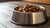 Is Wet Dog Food Bad for Teeth? Understanding the Myth and the Facts