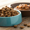 Is Wet Dog Food Better Than Dry Dog Food? A Comprehensive Guide for Pet Owners