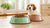 Is Wet Dog Food Better Than Kibble? Exploring the Best Options for Your Furry Friend