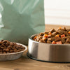 Is Wet Dog Food Better? Understanding the Benefits of Wet Versus Dry Dog Food