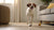 Is Wet Dog Food Easier to Digest? Exploring the Benefits and Considerations