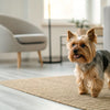 Is Wet Dog Food Good for Dogs? Exploring Benefits, Drawbacks, and What’s Best for Your Pet