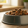 Is Wet Dog Food Healthy? Exploring the Pros and Cons of Wet Dog Food