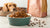 Is Wet Dog Food More Expensive Than Dry? Understanding the Cost Dynamics of Dog Nutrition
