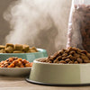 Is Wet Dog Food More Fattening than Dry? Understanding the Nutritional Differences for Your Pet