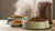 Is Wet Dog Food More Fattening than Dry? Understanding the Nutritional Differences for Your Pet