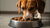 Is Wet Food Better Than Kibble for Dogs? A Comprehensive Guide